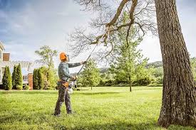Best Lawn Mowing  in Orange, OH