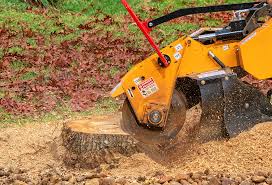 Best Tree Removal  in Orange, OH