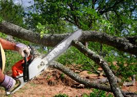 Best Utility Line Clearance  in Orange, OH